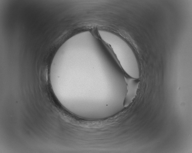 X0000082170021200702092255