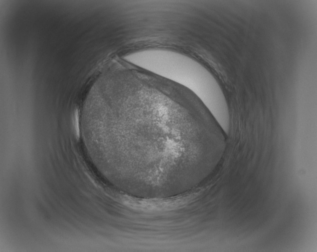 X0000082170022200702092255