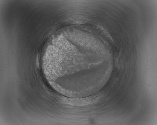 X0000082170026200702092255