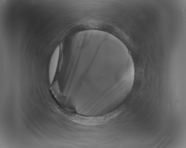 X0000082170027200702092255