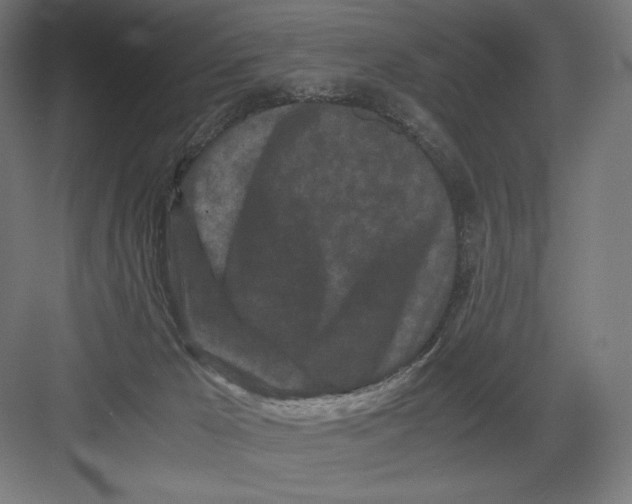 X0000082170029200702092255