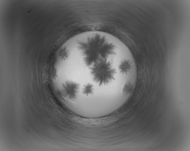 X0000082170030200702092255