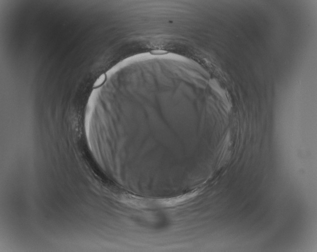 X0000082170031200702092255