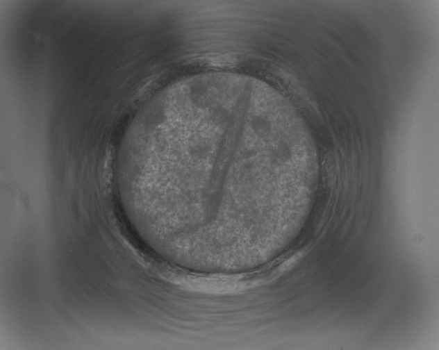 X0000082170032200702092255