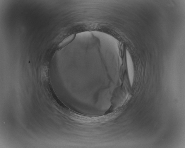 X0000082170035200702092255