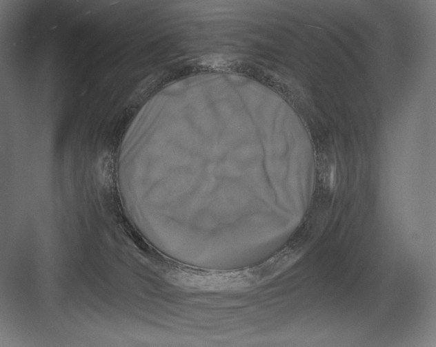 X0000082170036200702092255