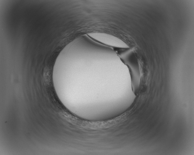 X0000082170037200702092255