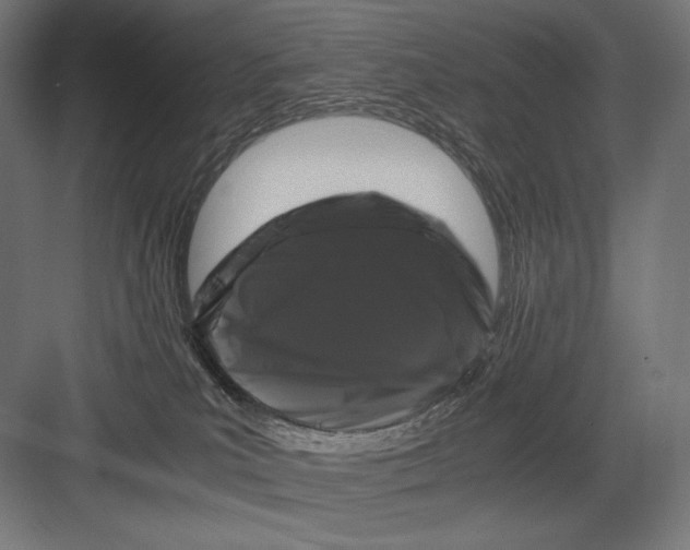 X0000082170039200702092255