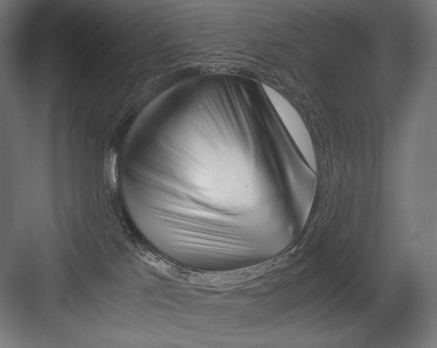 X0000082170041200702092255