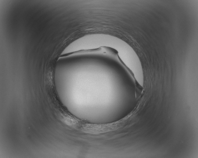 X0000082170045200702092255