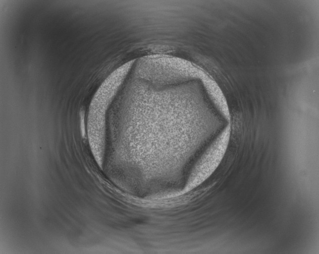 X0000082170046200702092255