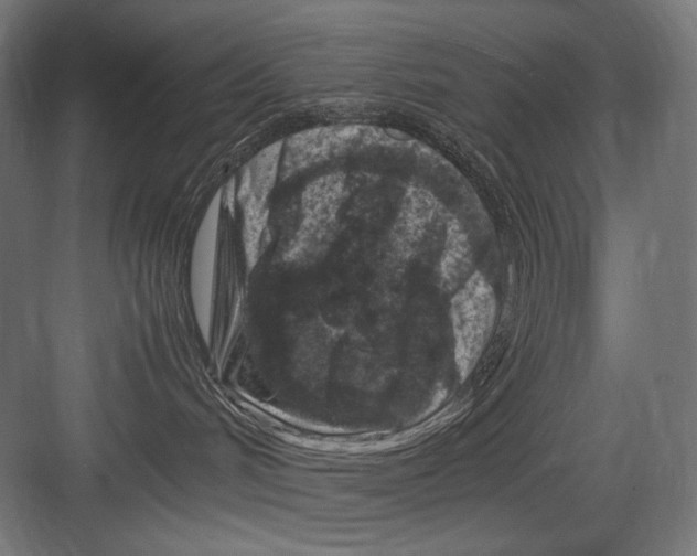 X0000082170048200702092255