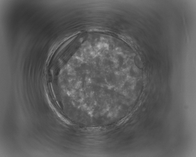 X0000082170049200702092254