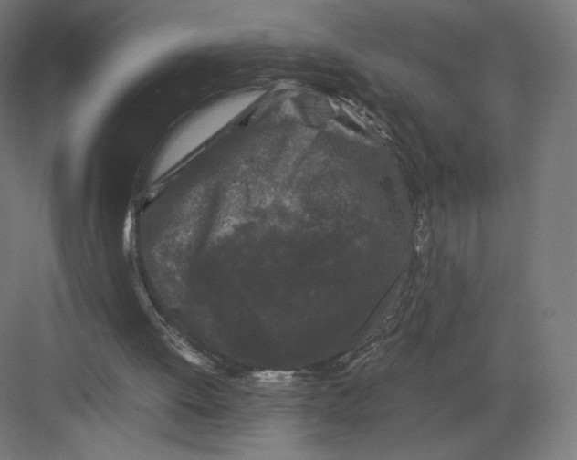 X0000082170052200702092254