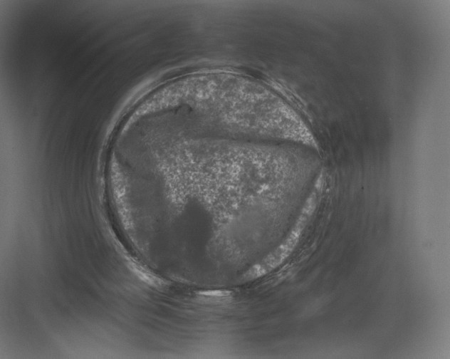 X0000082170053200702092254