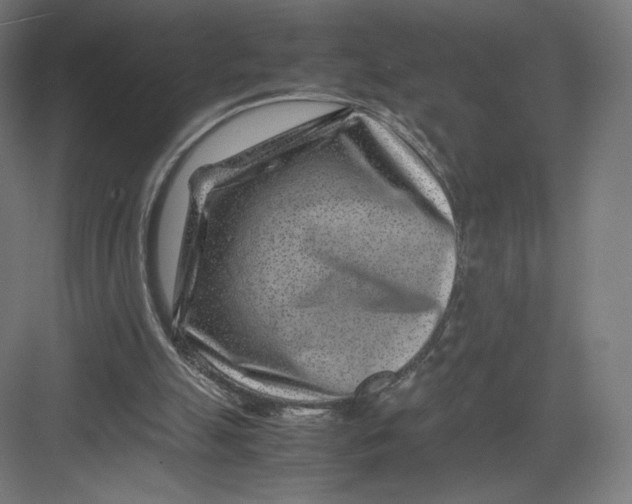 X0000082170055200702092254