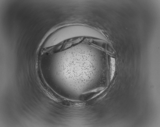 X0000082170056200702092254