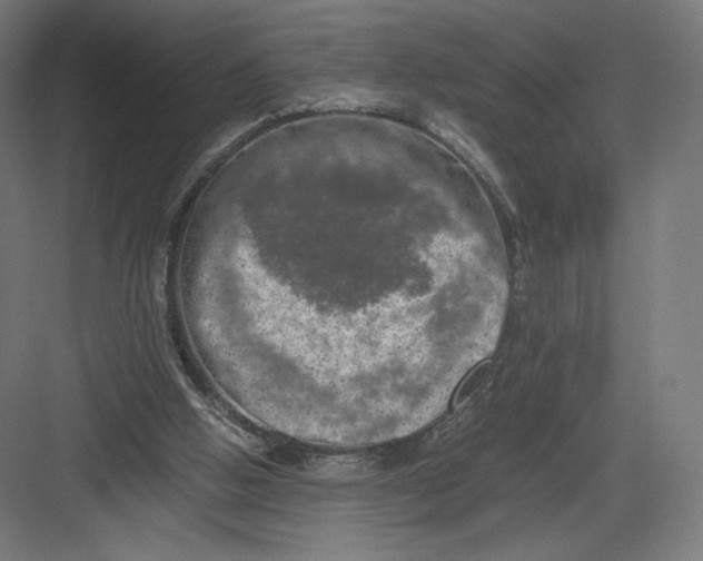 X0000082170058200702092254