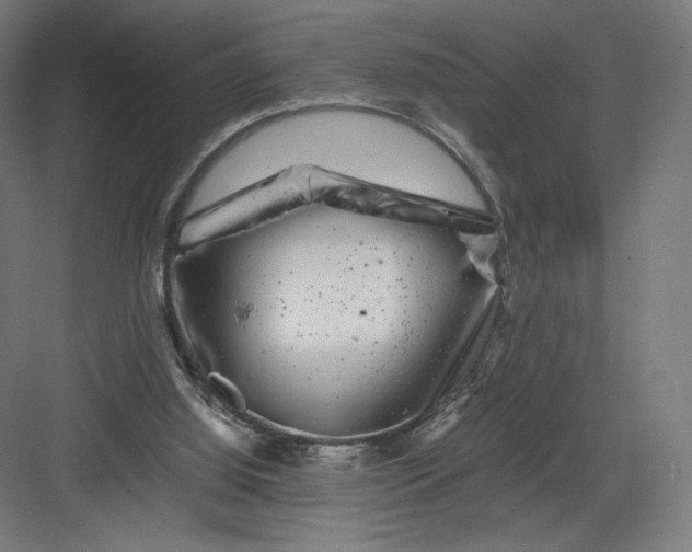 X0000082170060200702092254