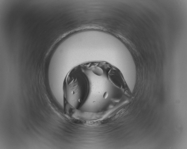 X0000082170064200702092254