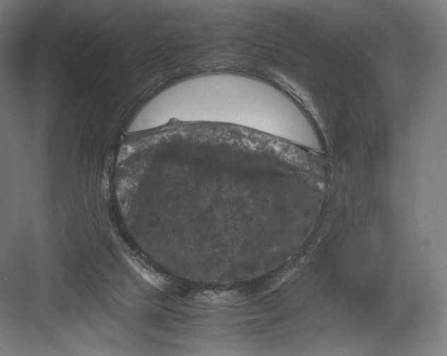 X0000082170065200702092254