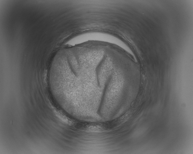 X0000082170066200702092254