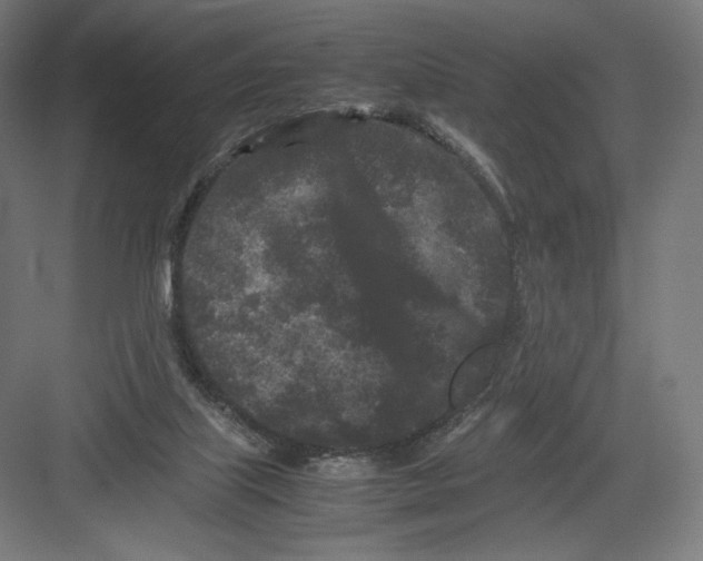 X0000082170067200702092254