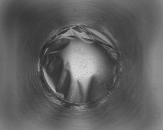 X0000082170068200702092254