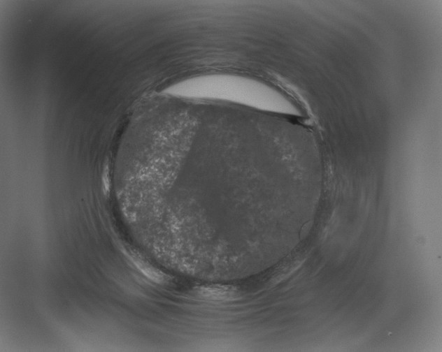 X0000082170069200702092254