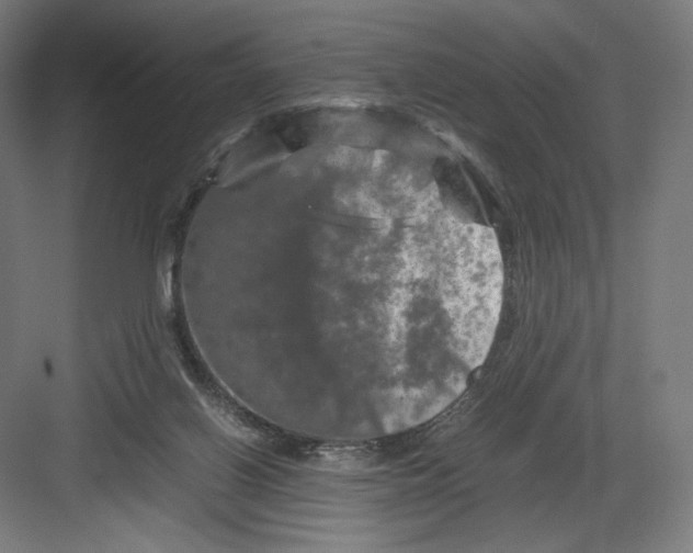 X0000082170070200702092254