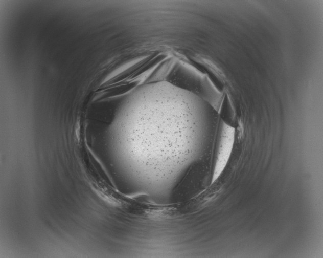 X0000082170072200702092254