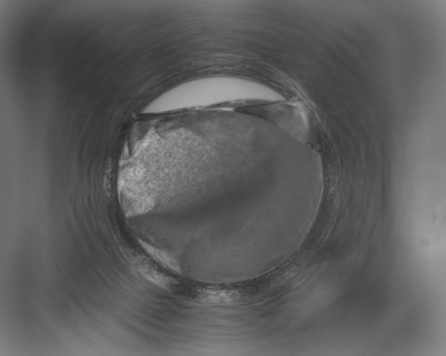 X0000082170073200702092254