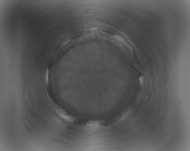 X0000082170076200702092254