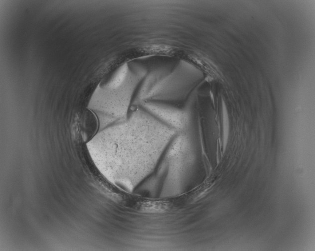 X0000082170077200702092254