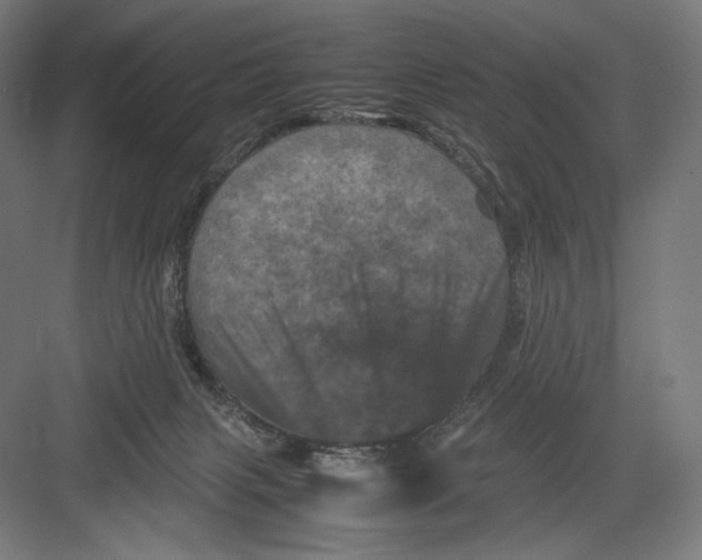 X0000082170079200702092254