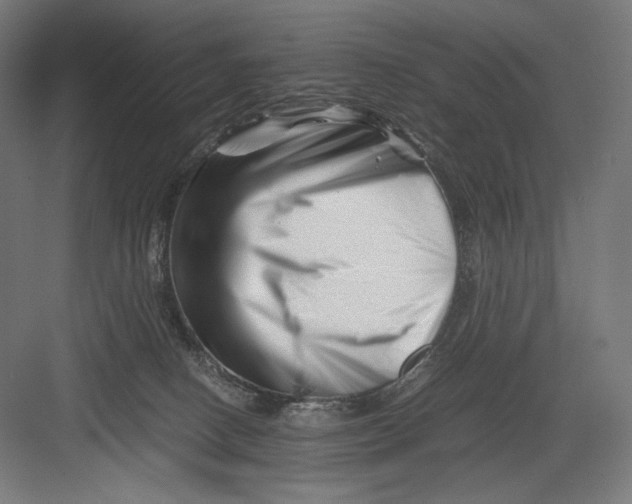 X0000082170082200702092254