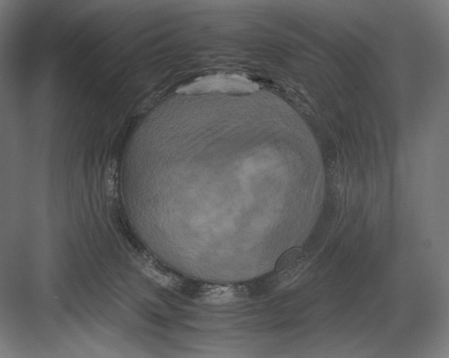 X0000082170083200702092254