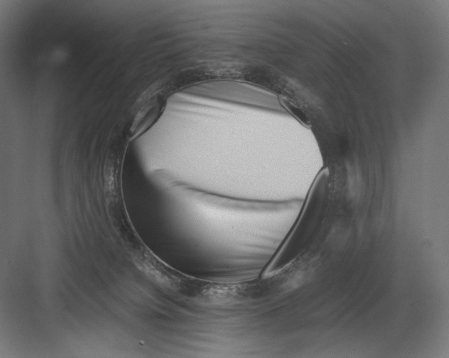 X0000082170084200702092254