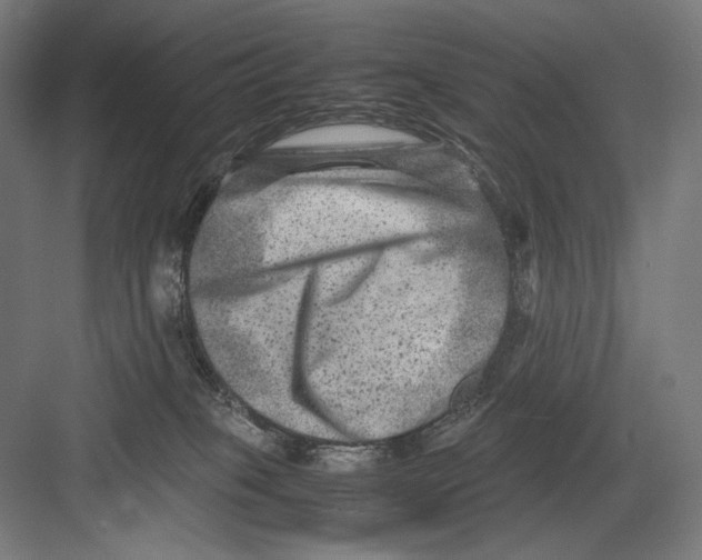 X0000082170085200702092254