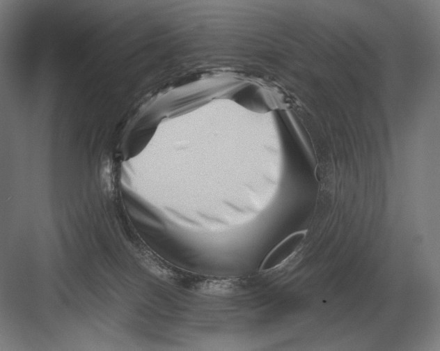 X0000082170086200702092254