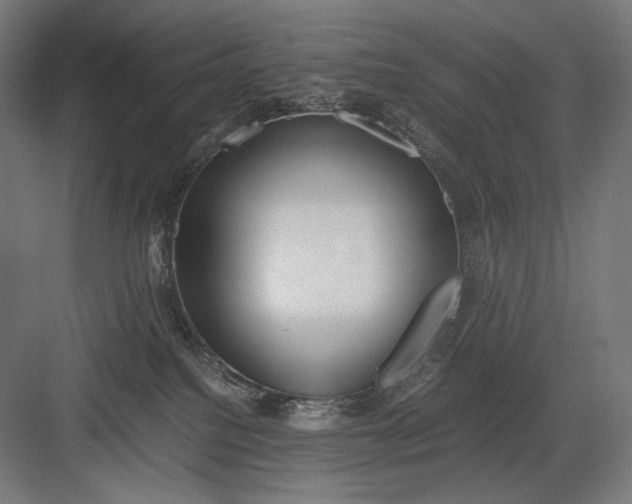 X0000082170088200702092254