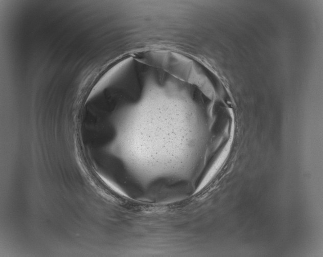 X0000082170097200702092254