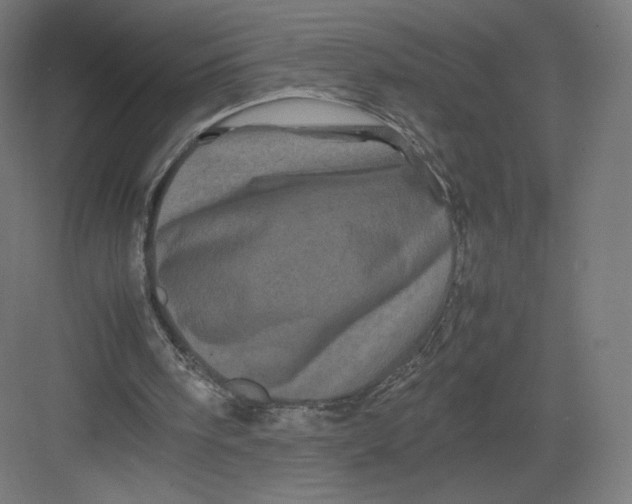 X0000082170098200702092254