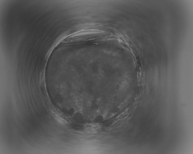 X0000082170099200702092254