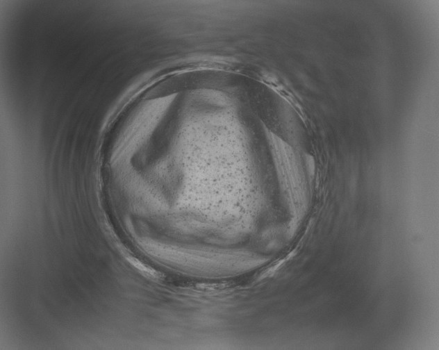 X0000082170101200702092254