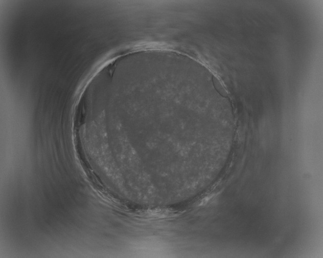 X0000082170103200702092254