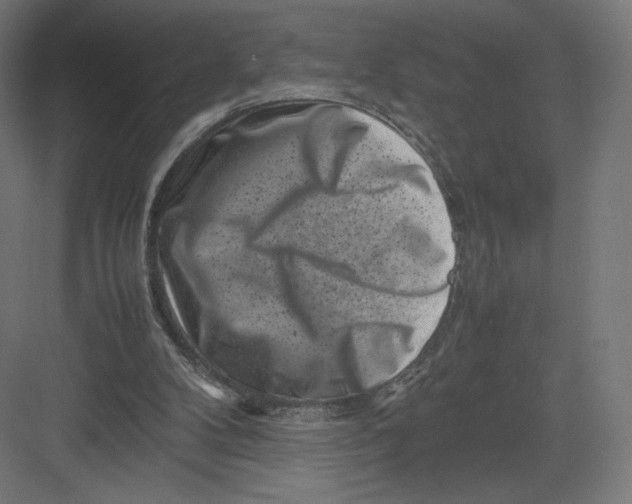 X0000082170104200702092254