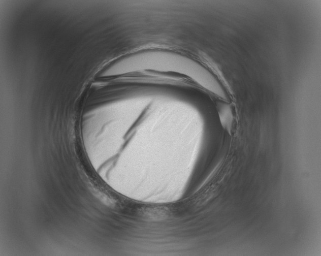 X0000082170106200702092254