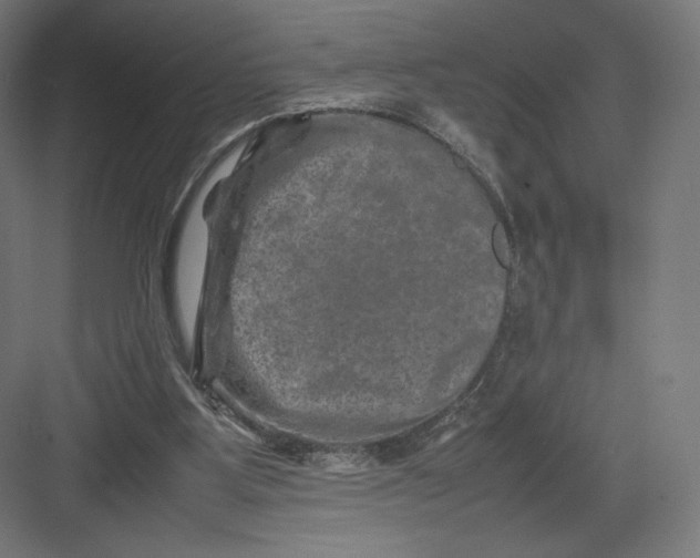 X0000082170107200702092254