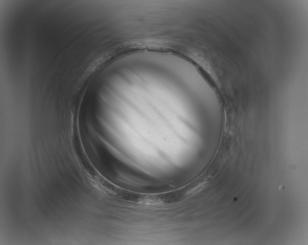 X0000082170109200702092254